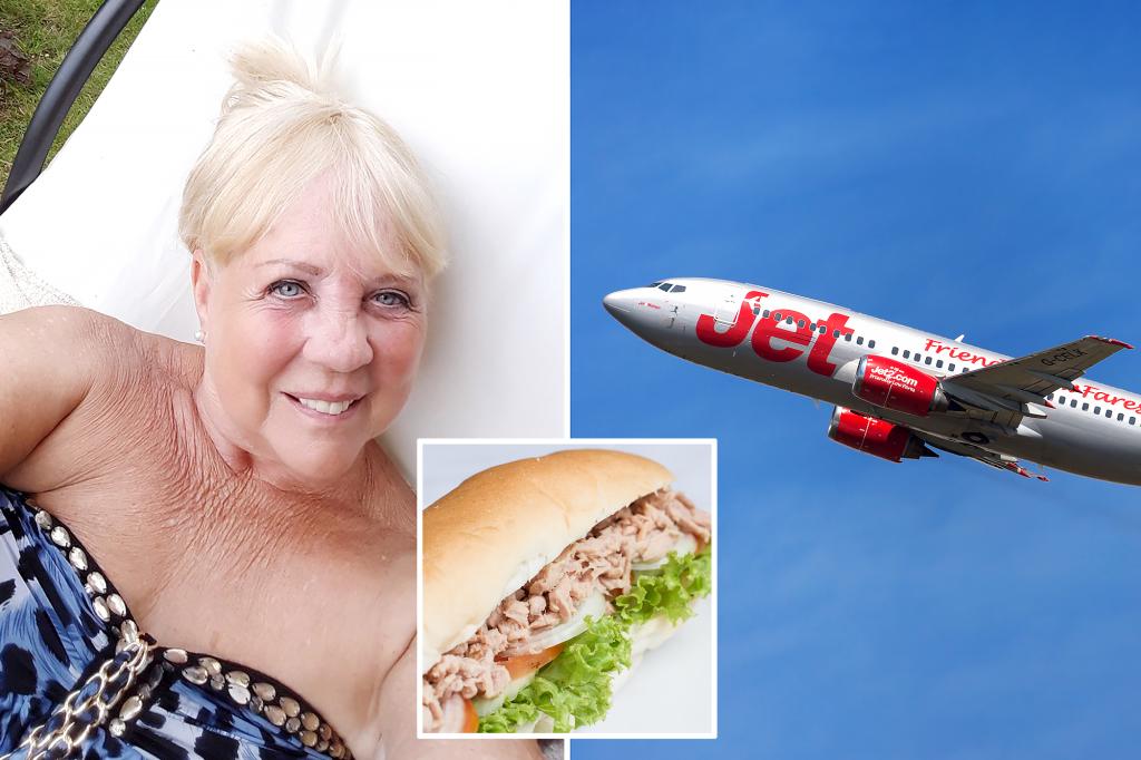 Grandma almost gets arrested after refusing to pay for $11 tuna sandwich on flight: 'No one would have eaten it'